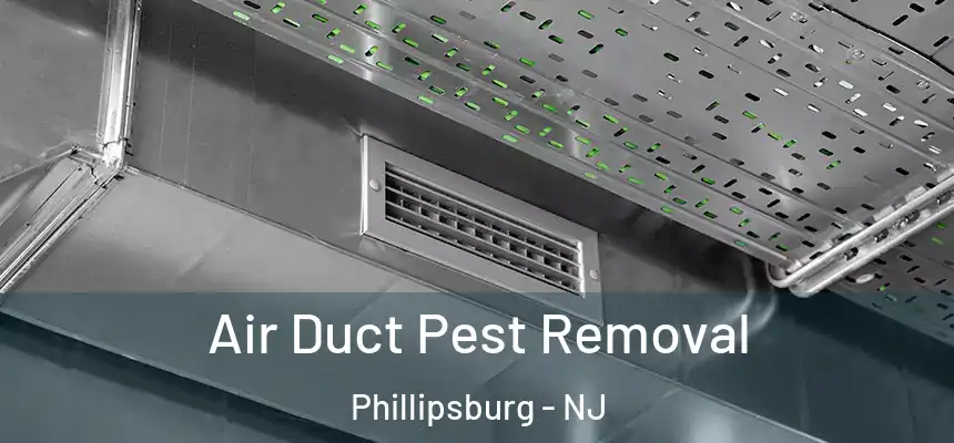  Air Duct Pest Removal Phillipsburg - NJ