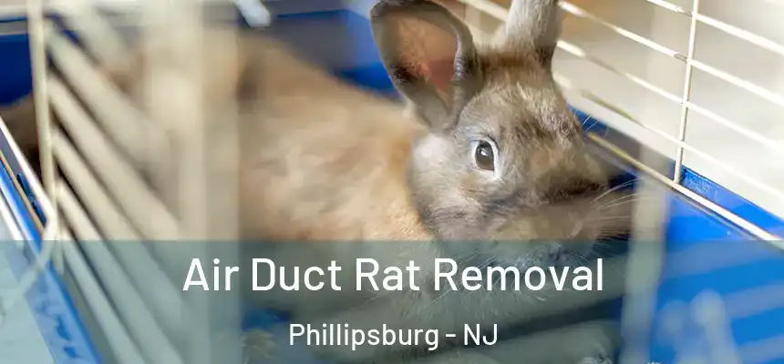  Air Duct Rat Removal Phillipsburg - NJ