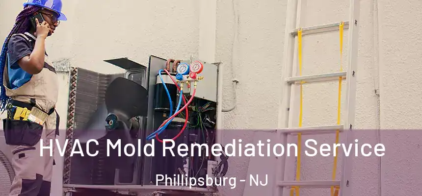  HVAC Mold Remediation Service Phillipsburg - NJ
