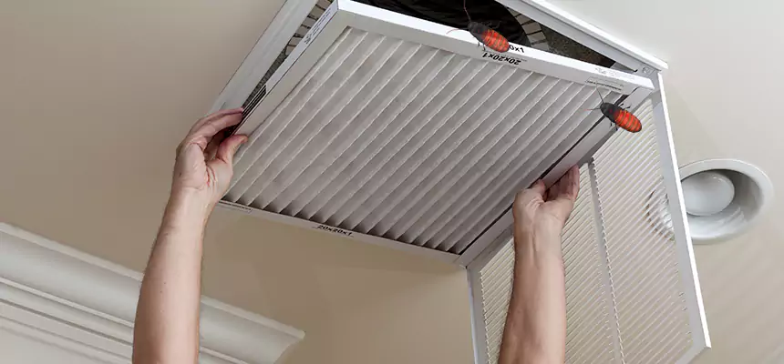 Preventive Cockroach-Proofing for Ducts in Phillipsburg