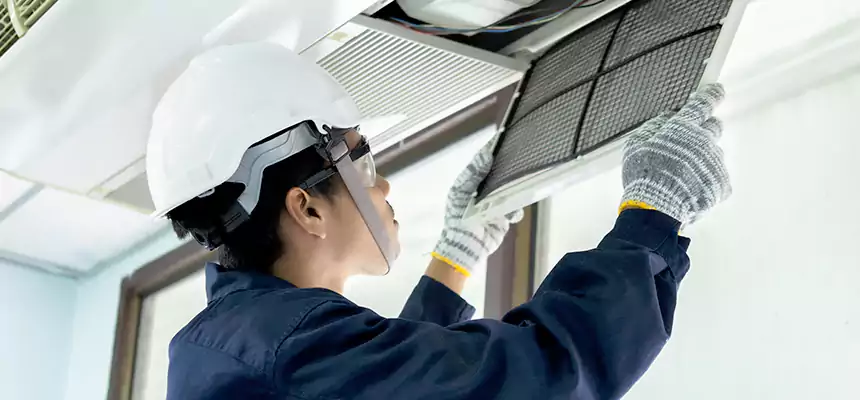 Our Mold & Mildew Removal from Air Ducts Services in Phillipsburg, NJ