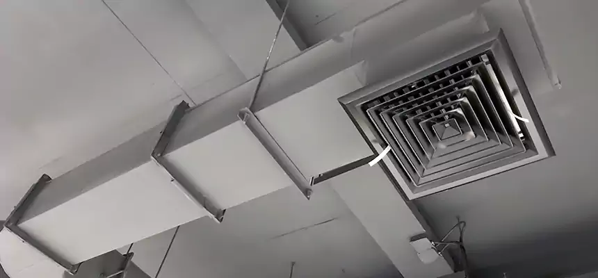 Our Pest Removal From Ducts Services in Phillipsburg, NJ