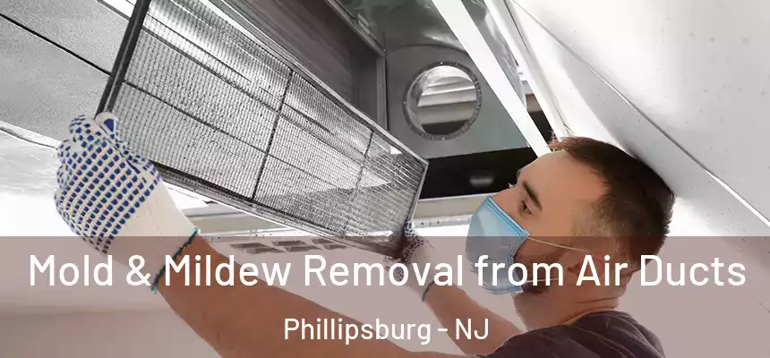  Mold & Mildew Removal from Air Ducts Phillipsburg - NJ