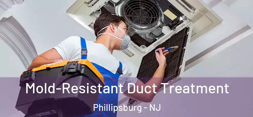  Mold-Resistant Duct Treatment Phillipsburg - NJ