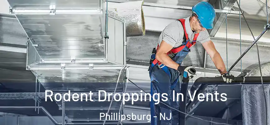  Rodent Droppings In Vents Phillipsburg - NJ