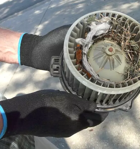 About Air Duct Mice Removal in Phillipsburg, NJ