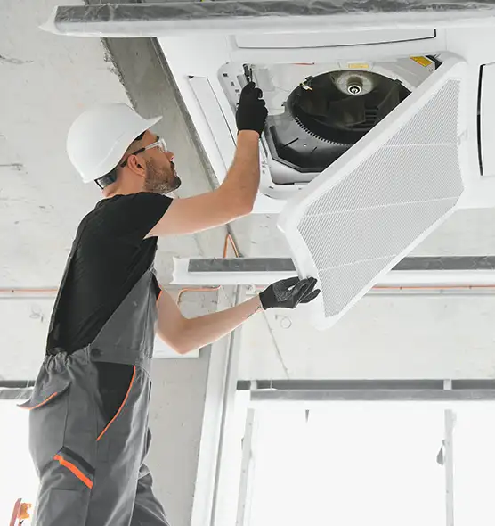 About Air Duct Rodent Removal in Phillipsburg, NJ