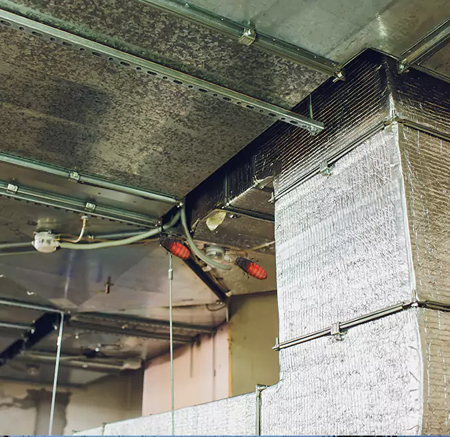 Why Homeowners & Businesses Trust Us in Phillipsburg, NJ?