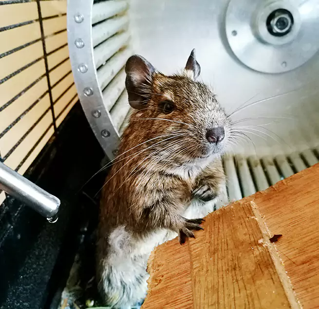 Why Homeowners & Businesses Trust Us Phillipsburg, NJ?